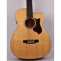 Acoustic Bass Guitars